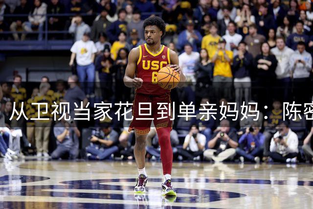 从卫视当家花旦到单亲妈妈：陈密如何扛起家庭与事业双重变故