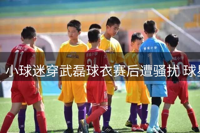 小球迷穿武磊球衣赛后遭骚扰 球星深夜全网寻人