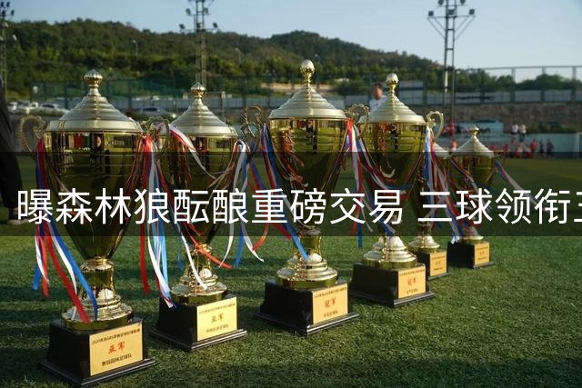 曝森林狼酝酿重磅交易 三球领衔五虎阵容浮出水面