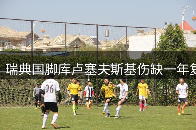 瑞典国脚库卢塞夫斯基伤缺一年复出成谜 热刺主帅表态谨慎对待