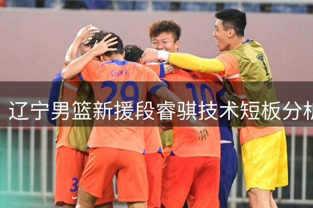 辽宁男篮新援段睿骐技术短板分析与球队影响